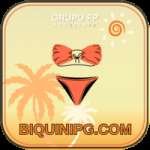 biquinipg Slots Super v5.6.5