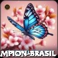 hotbet Champion Brasil